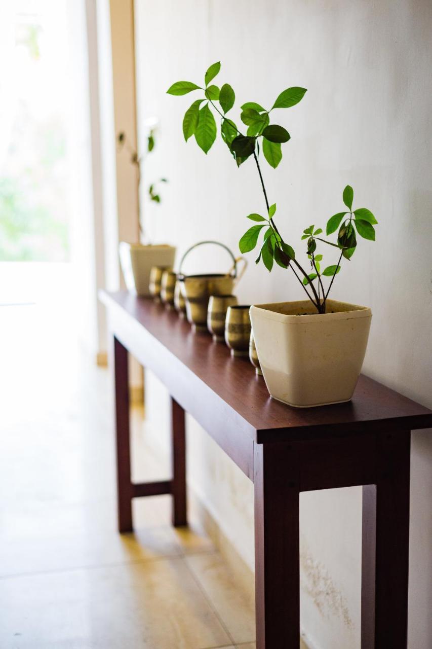 Mekosha Ayurveda Spa Suites Retreat & Resort Attingal Kültér fotó