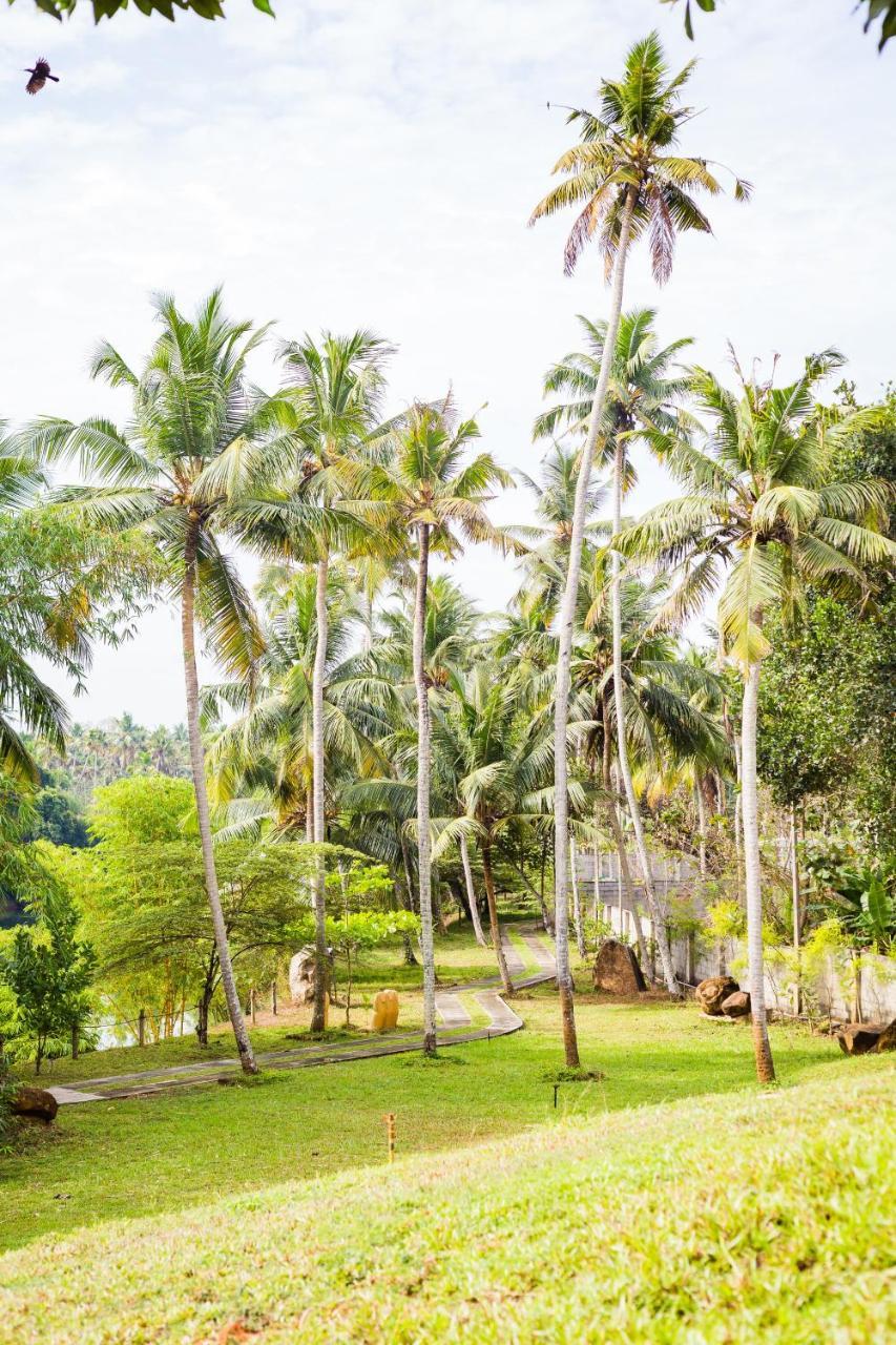 Mekosha Ayurveda Spa Suites Retreat & Resort Attingal Kültér fotó